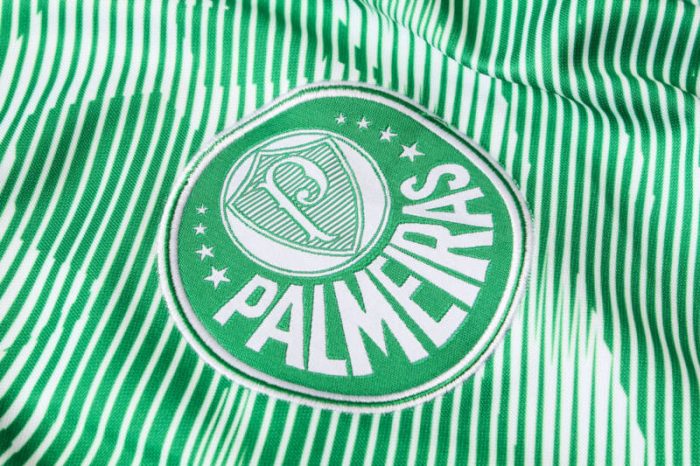 Chaqueta Puma Palmeiras - Imagen 6