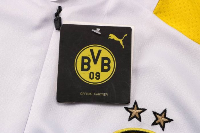 Sudadera entrenamiento Puma Borussia Dortmund 21/22 - Imagen 15