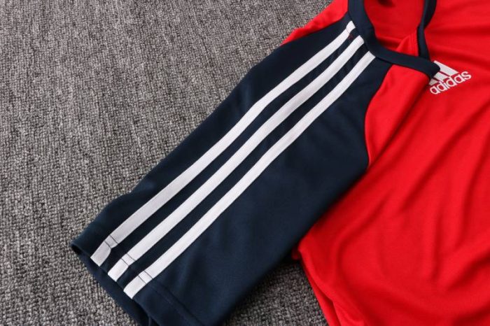 Camiseta calentamiento “Teamgeist” Bayern de Múnich 2021/22 - Imagen 6