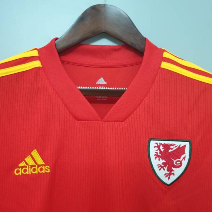 Primera equipación Stadium Gales 2020/21 - Imagen 4