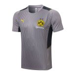 Camiseta calentamiento Borussia Dortmund 2021/22 (2 colores)