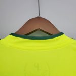 Camiseta alternativa Retro Palmeiras 2010/11 - Imagen 9