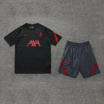 Conjunto de entrenamiento Liverpool 2020/21 - Imagen 3