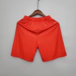 Pantalón Corto Olympique de Lyon 21/22 (3 equipaciones) - Imagen 9