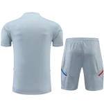 Conjunto de entrenamiento Olympique de Lyon 2023/24 - Imagen 2