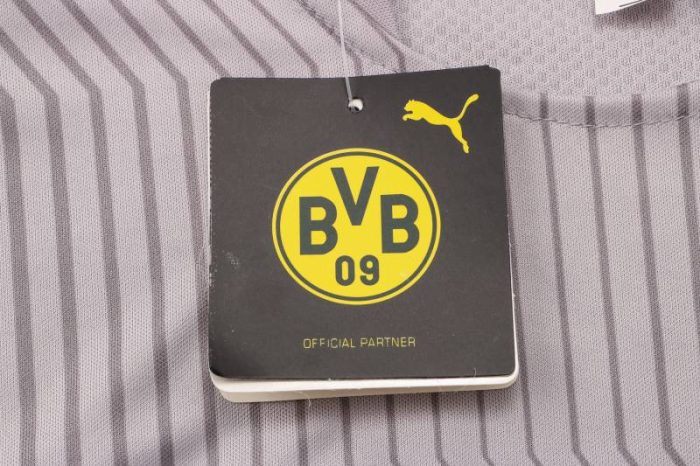Camiseta calentamiento Borussia Dortmund 2021/22 (2 colores) - Imagen 18