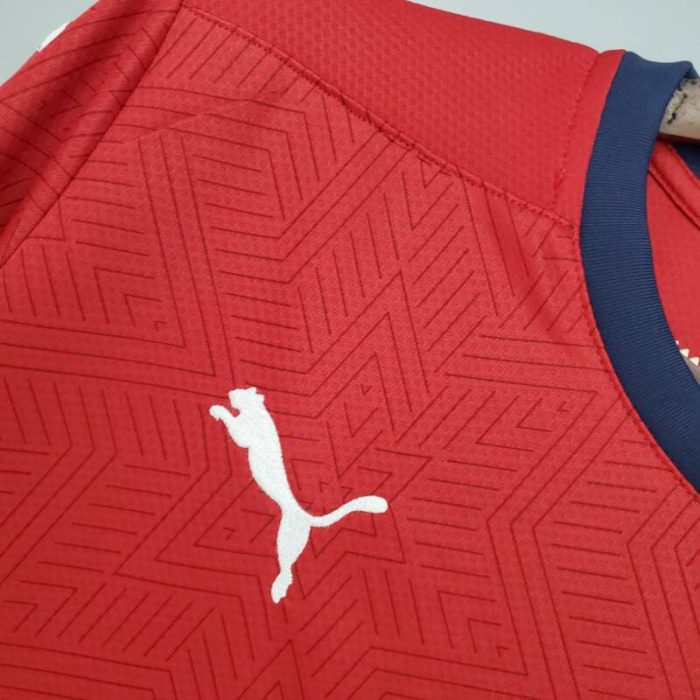 Primera equipación Stadium Republica Checa 2020/21 - Imagen 6