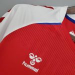 Primera equipación Dinamarca 2020/21 - Imagen 5