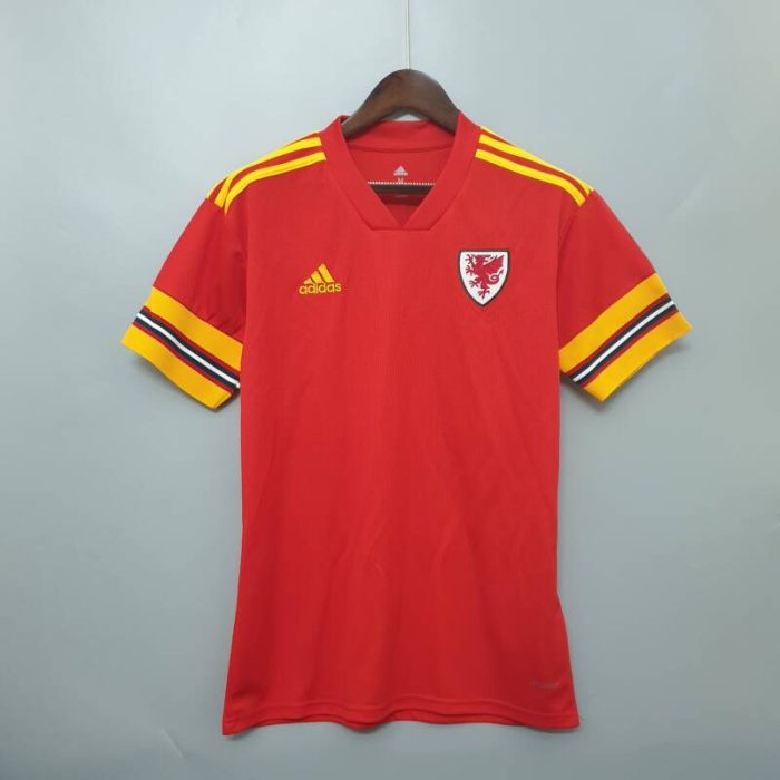Primera equipación Stadium Gales 2020/21 - Imagen 1