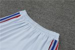 Conjunto de entrenamiento Olympique de Lyon 2023/24 - Imagen 10