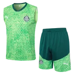 Conjunto entrenamiento sin mangas Palmeiras 24/25