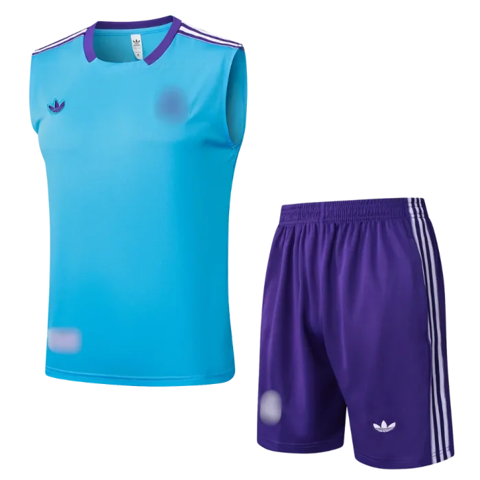 Conjunto entrenamiento sin mangas celeste Real Madrid 24/25 - Imagen 1