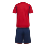 Conjunto niño España primera equipación 2022 - Imagen 2