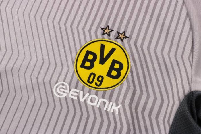 Camiseta calentamiento Borussia Dortmund 2021/22 (2 colores) - Imagen 6