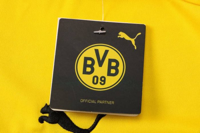 Camiseta entrenamiento Puma Borussia Dortmund 2021/22 - Imagen 12