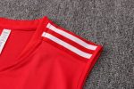 Conjunto entrenamiento sin mangas Arsenal 2021/22 - Imagen 10