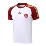 Camiseta calentamiento “Teamgeist” Arsenal 2021/22