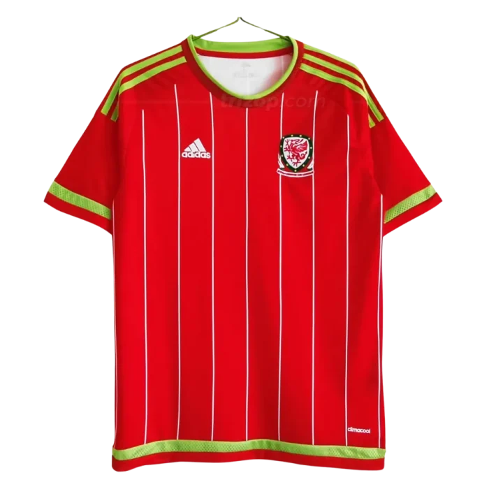 Camiseta local Retro Gales 15/16 - Imagen 1