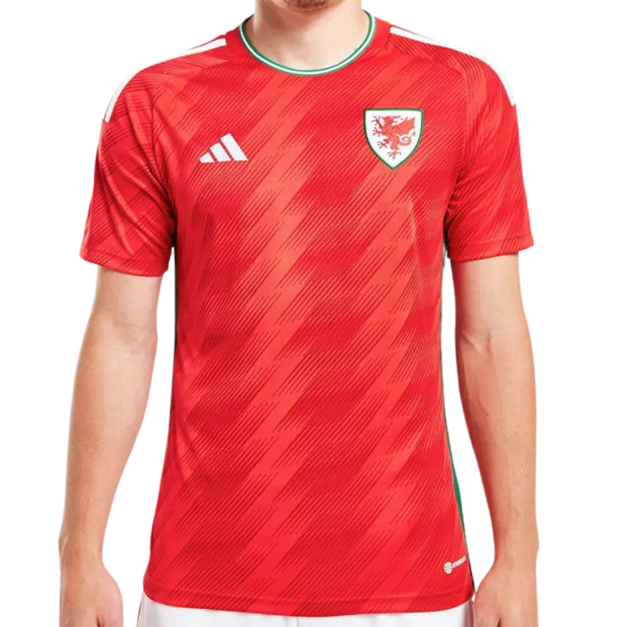 Primera equipación Stadium Gales 2022 - Imagen 1