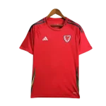 Primera equipación Stadium Gales 2024
