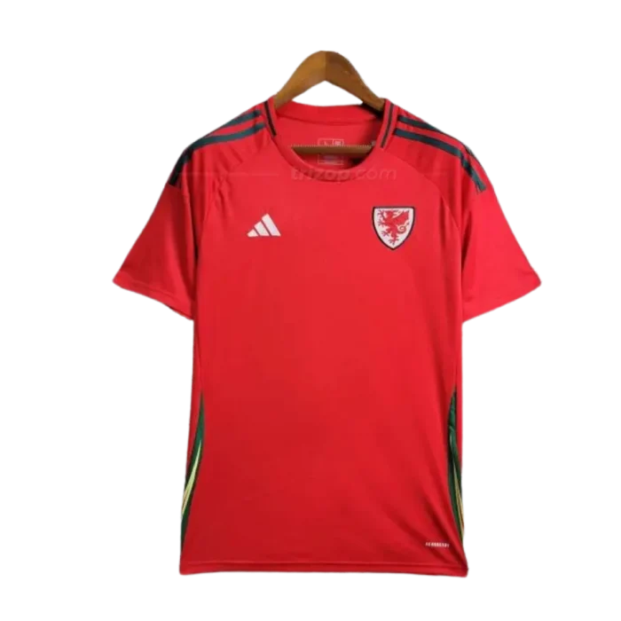 Primera equipación Stadium Gales 2024 - Imagen 1
