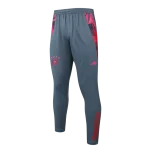 Pantalón deportivo gris Alemania 24/25