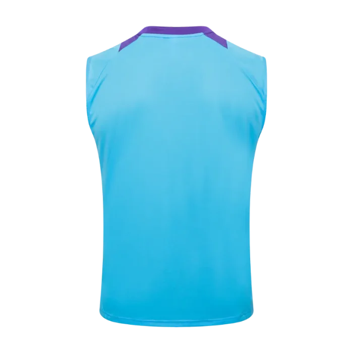 Camiseta sin mangas Argentina 24/25 - Imagen 2