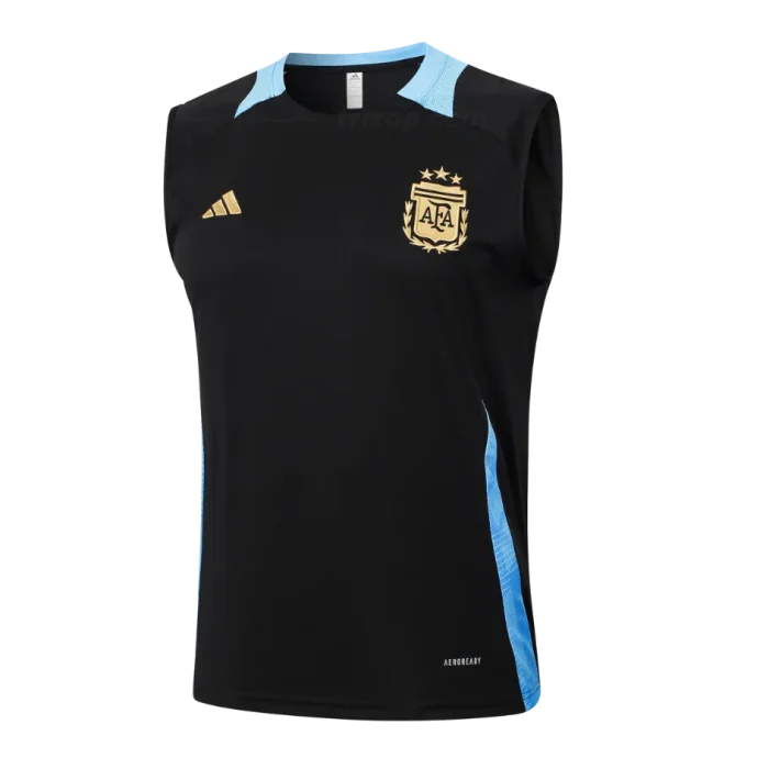 Camiseta sin mangas Argentina 24/25 - Imagen 1